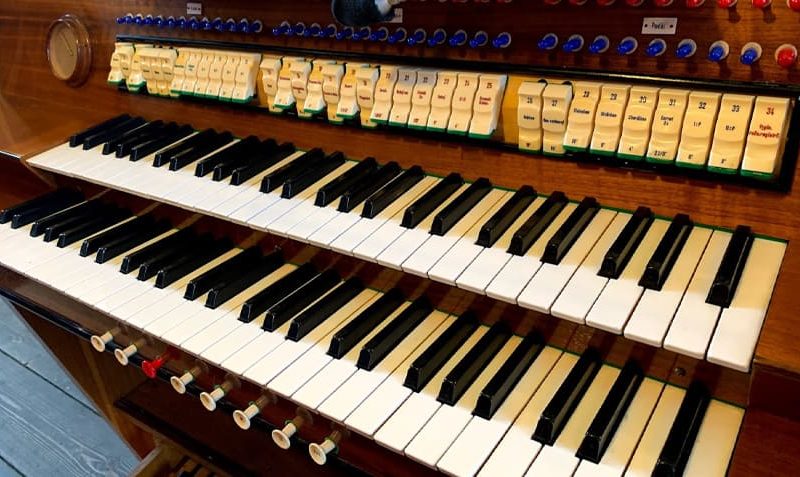 2023_organista