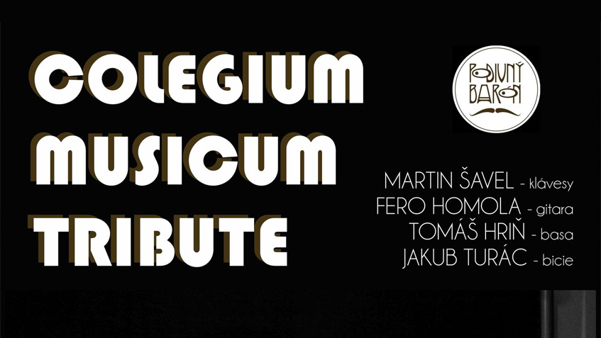 koncert Collegium Musicum tribute