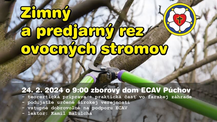 Zimný a predjarný rez ovocných stromov